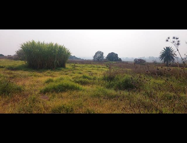 506.20HA FARM FOR SALE IN BLESBOKLAAGTE